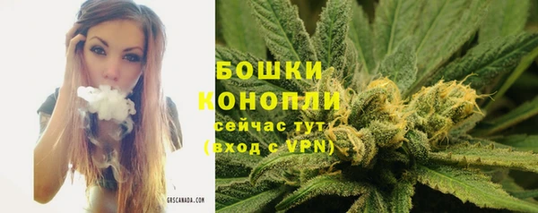 mdpv Коряжма