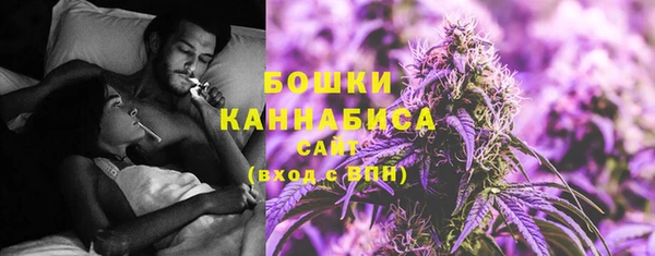 прущий лед Костерёво