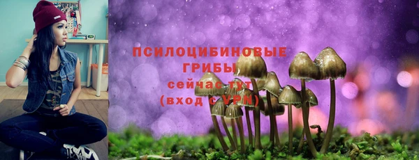 соль ск Корсаков