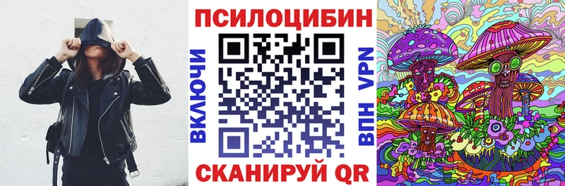 Псилоцибиновые грибы Psilocybine cubensis  Купить  Богданович 